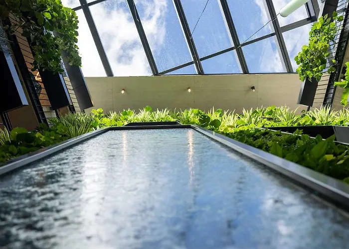 Lifesteil Умхаузен